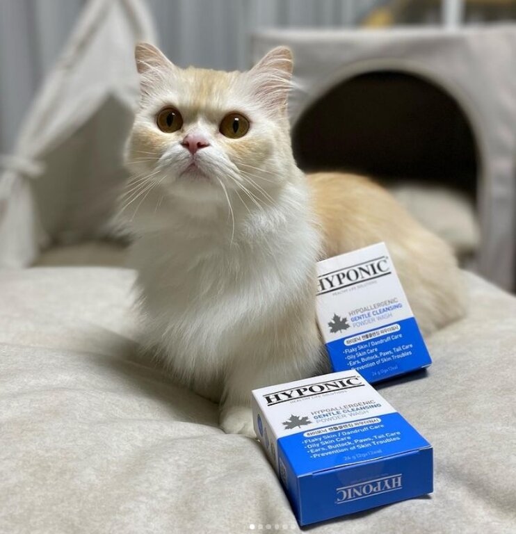 Шампунь для собак и кошек скраб-порошок отшелушивающий Hyponic (2 гр x 12 шт)